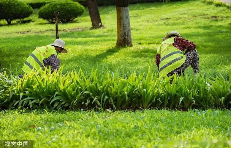 乒乓球台怎样分前后台