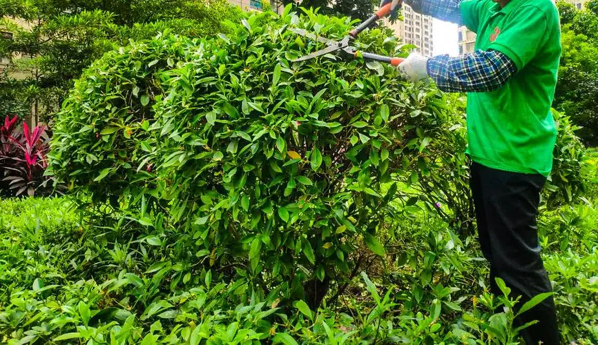 田径比赛需要的器材